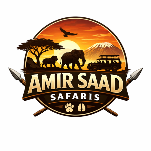 AMIR SAAD SAFARIS